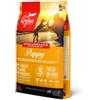 Orijen Puppy per cane 2 kg