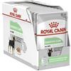 Royal Canin Digestive Care | 12 x 85 g | Cibo umido per cani adulti | A partire dal 10° mese di vita | Adatto per cani con digestione sensibile