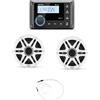 CLARION BUNDLE Stereo Rotondo CMM-10i con Casse CMSP-651-SWG e Antenna FM Cod.CMM10ICMSP