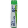 Boiron - Thuya Occidentalis 200 CH Globuli Disturmi Fisici e Umore Confezione Tubo Monodose 1 g