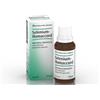 BIOLOGISCHE HEILM. HEEL GMBH SELENIUM HOMACCORD OS GTT 30ML
