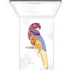 PUPA PARROT SAMBA