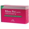 Ribes Pet Recovery: Supporto Dermico per Cani e Gatti - 60 Perle