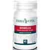 Erba Vita - Boswellia Serrata in Capsule - Integratore Naturale da 400mg, Confezione da 60 Capsule