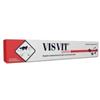 Visvit 15g Pasta in Siringa per la Salute Orale