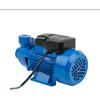 viemylu Autoclave Potenza 0,50 Hp (Cavalli) qb60 Elettropompa 35l/M periferica, Tensione 230 V, Frequenza 50 Hz POMPA MOTORE ELETTRICO PER ACQUA