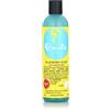 Curls Blueberry Bliss Control Jelly, 8 Ounce by Curls