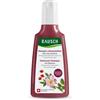 Rausch Ag Kreuzlingen RAUSCH Shampoo Colorprotettivo Alla Rosa Selvatica 200 ml
