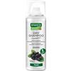 Rausch AG Kreuzlingen RAUSCH Dry Shampooo Fresh 50 ml Shampoo
