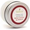 potentilla - Crema viso Antirughe 15 ml