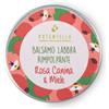 potentilla - Balsamo Labbra Rimpolpante - Rosa Canina e Miele