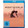 WARNER BROS Westworld - Staffel 3