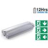 V-TAC LAMPADA LED EMERGENZA 3W BIANCO FREDDO IP65 VT-543-LED83111