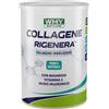 Whynature collagene rigenera neutro 330 g