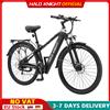 HALO KNIGHT H02 Bici elettrica per adulti economica 48V 750W 16AH Bicicletta elettrica 29 * 2.1 Ebike 50KM / H E Bike Uomo Potente mountain bike - 48V 750W 16Ah