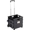Linea Garden Friend C1299040 Carrello Trasporto, Nero, 38x33x36 cm