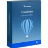 Alludo Coreldraw Standard 2021 - Licenza a vita Windows