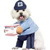 California Costumes Cane Mail Carrier Costume USPS Large Blu