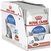 ROYAL CANIN 12x85g Royal Canin Indoor Sterilised Straccetti in Salsa