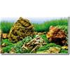 Amtra Sfondo Decorativo per Acquario Doppio 150x60h cm