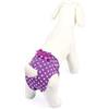 CAMON Mutandina a pois in cotone elasticizzato - viola - C206/F