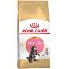 Royal Canin Maine Coon Kitten 2kg - Crocchette per Gatti