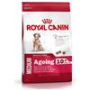 Royal Canin Medium Ageing10+ 3kg - Crocchette per Cani