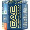 Moldes - Net G.A.C. Fosfatidico Gusto Arancia Integratore Post Allenamento Confezione 200 Gr