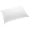 Gabel Nottetempo Guanciale Ortopedico, Cotone-Poliuterano, Bianco, 80x50x10 cm