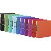 Exacompta 53384E Raccoglitore a Leva, 30x32 cm, Multicolore
