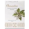 L'ERBOLARIO SB Srl L'Erbolario Sacchetto Profumato Multiuso Osmanthus, 1 pezzo