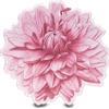 L'ERBOLARIO SB Srl Sfumature D Fiore Profumato1pz