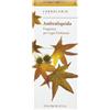 L'ERBOLARIO SB Srl Ambraliquida Fragr Legni 125ml