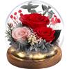 Emibele Regalo Rosa Eterna per la Festa della Mamma, Rosa Reale Conservata in Cupola di Vetro con LED, Fiori per Consegna, Regalo per Donna, Moglie, Compleanno, Anniversario, Rosso