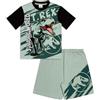 Jurassic World Pigiama da bambino | T-shirt in cotone con stampa T-Rex e pantaloncini elasticizzati in vita | Pigiama dinosauro, Verde, 11-12 Years