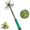 FiveMileBro Strumento per Diserbo Manuale, Attrezzo per Rimozione Erbacce con Manico Lungo, Estirpatore Erbacce per Giardino, Orto, Prato e Cortile (11 Denti)