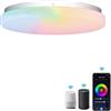 Wiby Plafoniera Led Soffitto Alexa RGB Ø25.8CM ，20WPlafoniera Alexa ，Plafoniera Intelligente Dimmerabile con APP, Compatibile con Alexa e App，per Camera da Letto, Bagno, Cucina (Senza Telecomando)