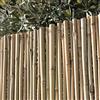 PEBSHOP ARELLA Canna Passante Bamboo Ø 14-16 mm (CM 150 X 300)