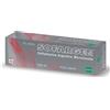 ALFASIGMA SpA Sofargen 1 % 120 g crema