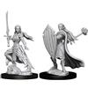 WizKids Dungeons And Dragons: Nolzur's Marvelous Unpainted Miniature - Elf Female Druid
