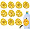 Voihamy 10 trappole per calabroni, trappole per calabroni forma di, trappola per, trappola per mosche, trappole per calabroni, trappole per vespe da giardino, 10 pezzi