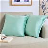Blumtal Set di 2 Federe Cuscini Divano 45x45 cm in Velluto, con Chiusura Lampo Invisibile, Eleganti Copricuscini Divano in Morbido Velluto,Taglia 45 x 45, Verde Chiaro