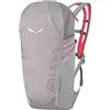 SALEWA Ultra Train 22 BP, Zaino da Corsa Unisex-Adulto, Alloy, Taglia Unica