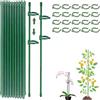 ShengBiLong Bastoncini per Orchidee, 20 Pezzi Supporto per Piante Stabilizzare, Viene Fornito con 20 Moschettoni con 40 cappucci protettivi, Sostegno per Piante, Tutori per Piante（80PCS）