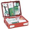 FARMACARE SRL CASSETTA PRONTO SOCCORSO FAMILY PER CAMPEGGIO, BRICOLAGE, CASA E UFFICIO. CONTENITORE IN ABS ANTIURTO CON SUPPORTO PER IL FISSAGGIO ALLA PARETE