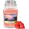 Yankee Candle Scented Candle | Candela in giara grande della Alba Sulla Scogliera | Candele a lunga combustione: fino a 150 ore | Regali perfetti per le donne