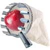 ProLeo, raccogli frutta con sacchetto di stoffa, raccogli mele con sacchetto di cotone extra spesso, accessorio per il giardino agricolo, strumento per mela, arancia e pesca (Ø14 cm)