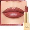 OULAC Rossetto Opaco Finitura Metallica, Matte Rossetti Terracotta Glitterato Idratazione e Lucentezza a Lunga Durata per le Labbra, Texture Fine Colore Intenso, 4,3g (GM05) Spice up