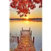 DCIDBEI Quadrato Diamond Painting Ponte 40x50cm - Alberi Acero Rosso, Paesaggi Spiaggia, Tramonto sul Mare - Puzzle Mare