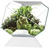 Askoll 280669 Nexus 5C Betta Life White